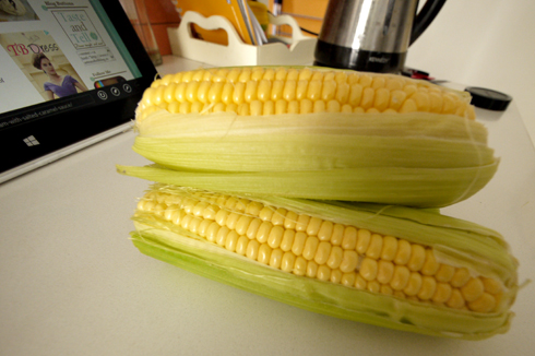Corns getting ready to work