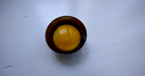 The egg yolk
